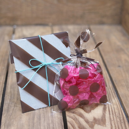 水縞クリアバッグ ブラウン 縞々