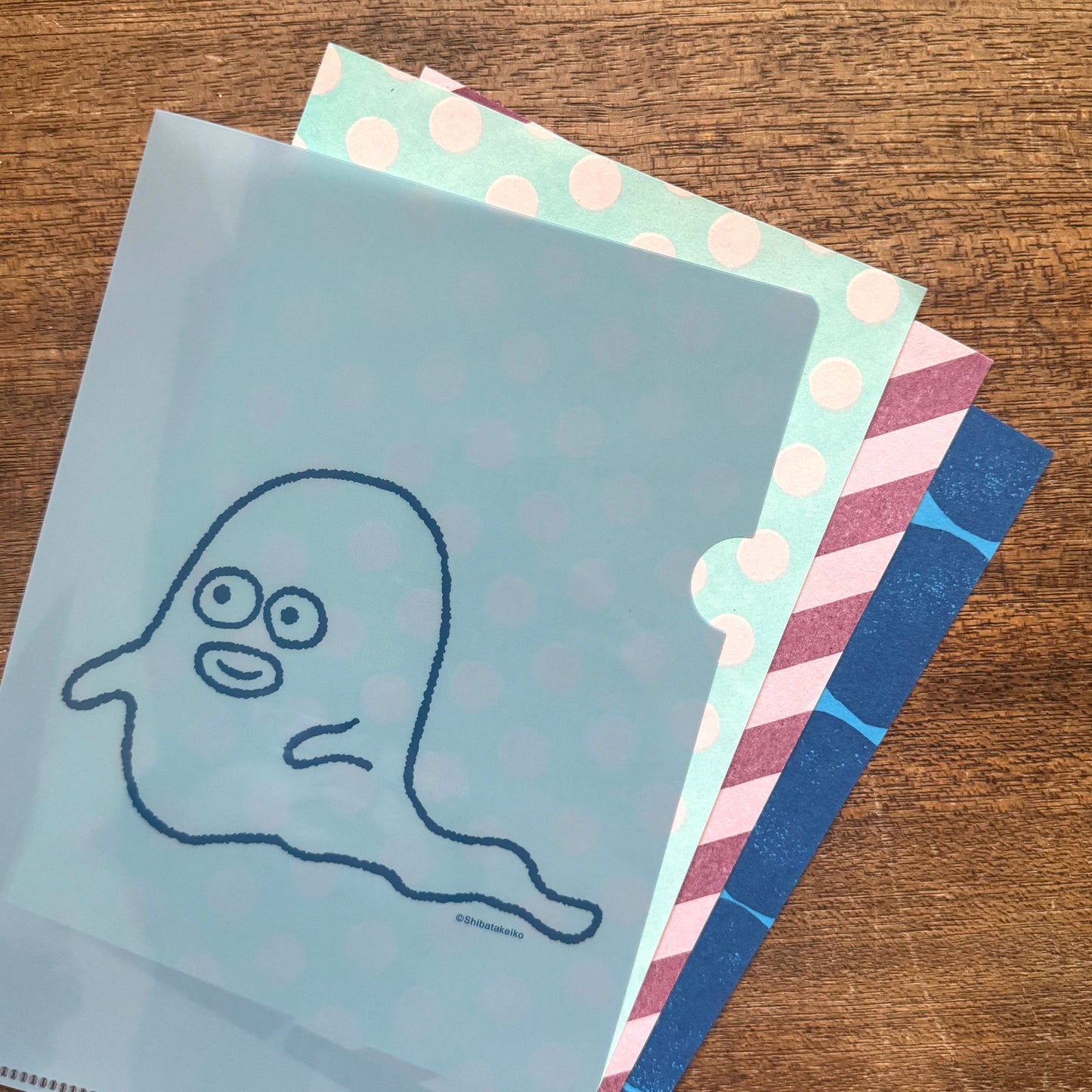 Shibata Keiko × mizushima Plastic Folder Ghost S