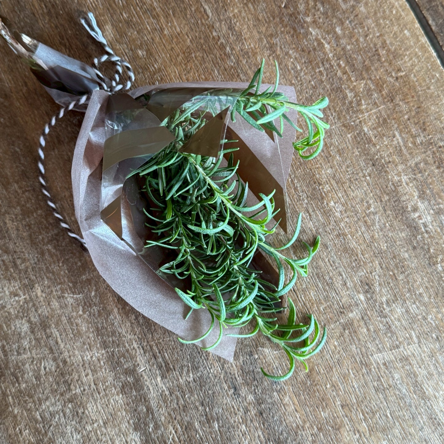 水縞クリアバッグ ブラウン 縞々